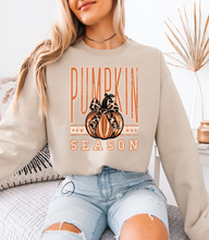 Load image into Gallery viewer, Leopard Pumpkin Season Sweatshirt