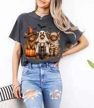 Load image into Gallery viewer, Furry Halloween Pals Graphic Tee