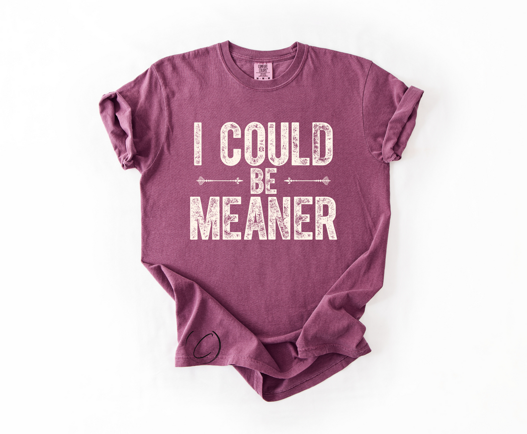 I Could Be Meaner Graphic Tee