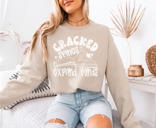 Load image into Gallery viewer, Cracked Spines Sweatshirt