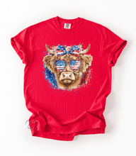 Load image into Gallery viewer, American Highland Graphic Tee