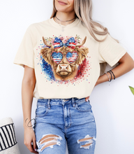 Load image into Gallery viewer, American Highland Graphic Tee