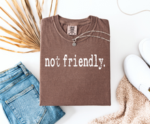 Load image into Gallery viewer, Not Friendly Graphic Tee