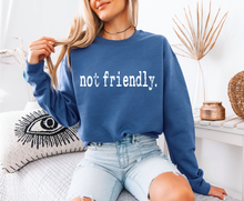 Load image into Gallery viewer, Not Friendly Sweatshirt