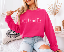 Load image into Gallery viewer, Not Friendly Sweatshirt