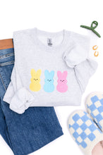 Load image into Gallery viewer, PREORDER: Embroidered Glitter Sweatshirt in Multicolor Bunnies