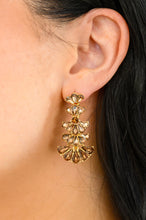 Load image into Gallery viewer, Ella Smoky Crystal Drop Earrings in Smoky Brown