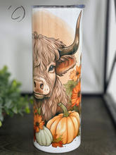 Load image into Gallery viewer, Hay There Pumpkin 20oz Skinny Tumbler
