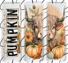 Load image into Gallery viewer, Hay There Pumpkin 20oz Skinny Tumbler