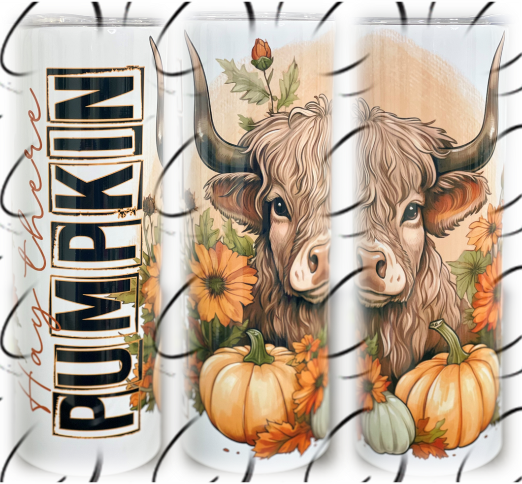 Hay There Pumpkin 20oz Skinny Tumbler