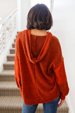 Load image into Gallery viewer, Planning Ahead Color Block Hoodie