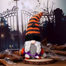 Load image into Gallery viewer, Stripes Are Nice Gnomes Set of 2