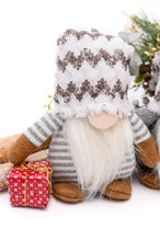 Load image into Gallery viewer, Snowed In Gnomes Set of 2