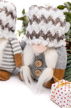 Load image into Gallery viewer, Snowed In Gnomes Set of 2