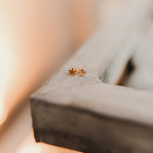 Load image into Gallery viewer, Tiny Star Stud Earrings - Barberry + Lace